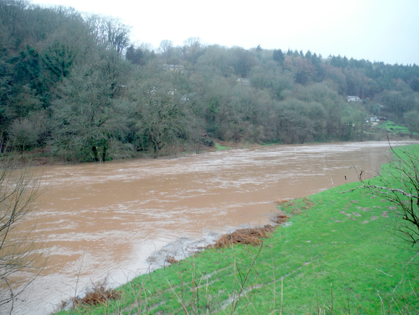 Cadora flood